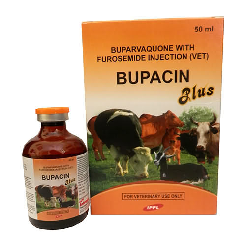 BUPACIN PLUS BUPACIN PLUS
